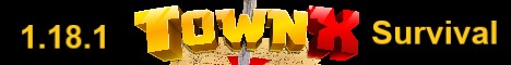 TownX.mc.gg