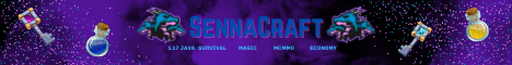 play.sennacraft.xyz