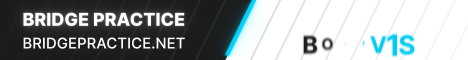 bridgepractice.net