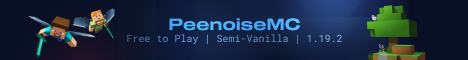 play.peenoisemc.xyz