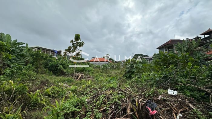 Riverfront Land Padonan – 1,170 sqm Residential Plot photo 3