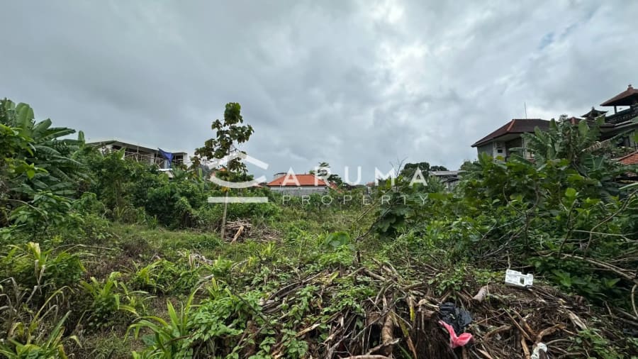 Riverfront Land Padonan – 1,170 sqm Residential Plot photo 4