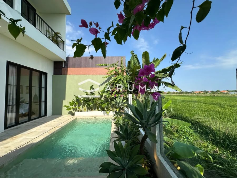 Sadhu Villa - Modern 2 Bedroom Villa Near Pererenan Beach photo 20