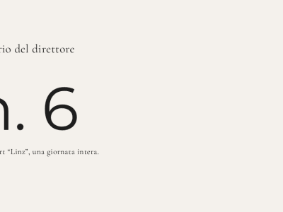 Diario del direttore