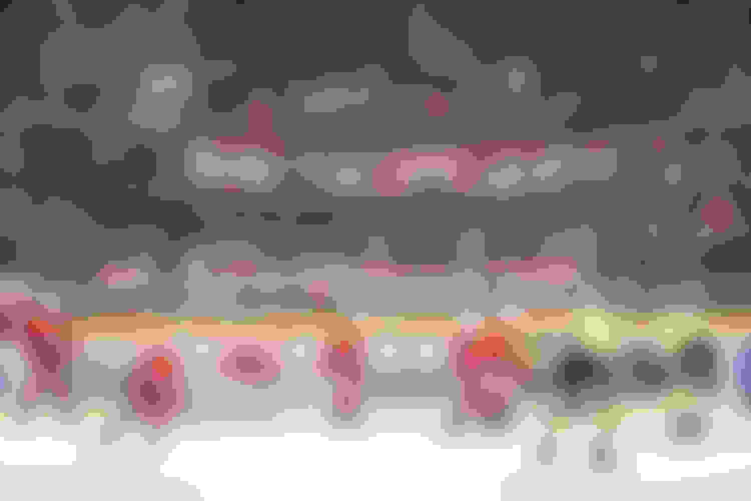 Eisbären Regensburg