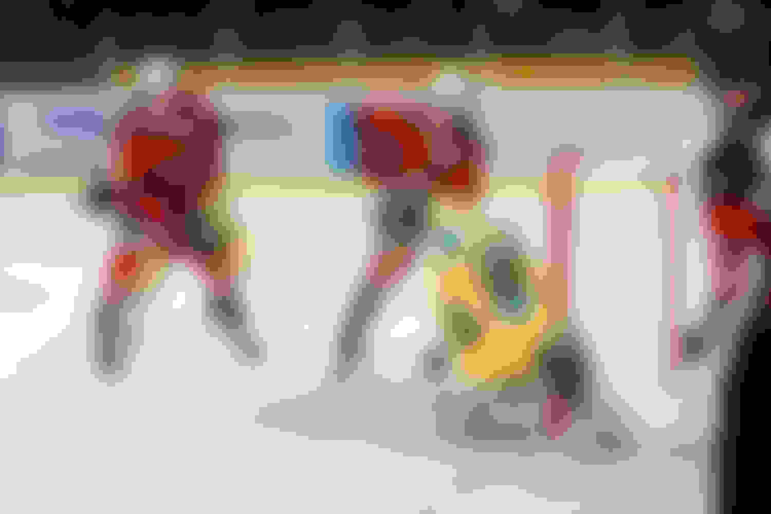 Eisbären Regensburg