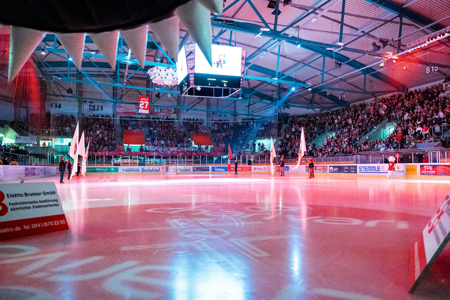 Eisbären Regensburg