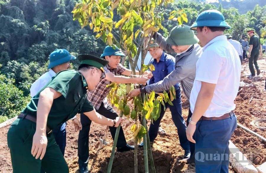 Đại diện lãnh đạo xã Thượng Trạch ra quân trồng cây ăn quả tại vườn của các hộ dân - Ảnh: M.D