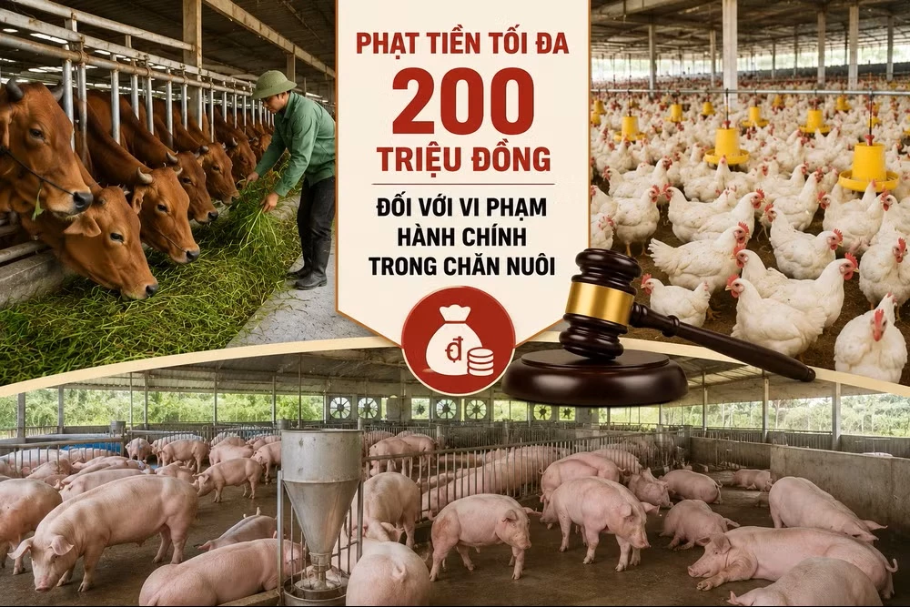 Hình ảnh minh họa, được tạo bằng công nghệ AI.