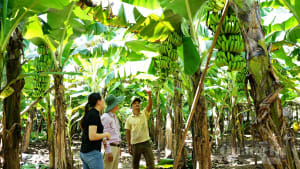 Dựng xây nếp sống mới