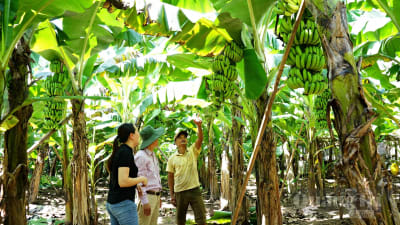Dựng xây nếp sống mới