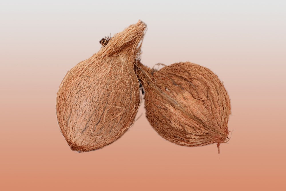 Coconut(1)