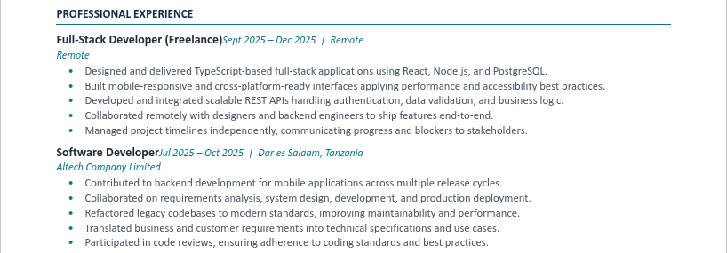 Professional Experience Section