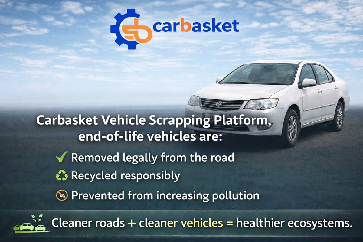 Carbasket connects to sustainable mobility