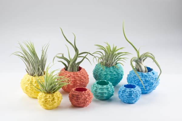 Eight spiky ball pots resembling urchins, in bright pastel colors, of mixed sizes, on a grey gradient backdrop. Most have spindly green air plants.