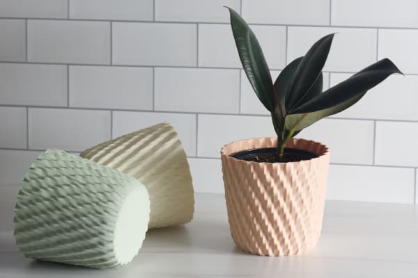 Three wavy pots in light matte pastel colors on a kitchen counter, one with a rubber plant.
