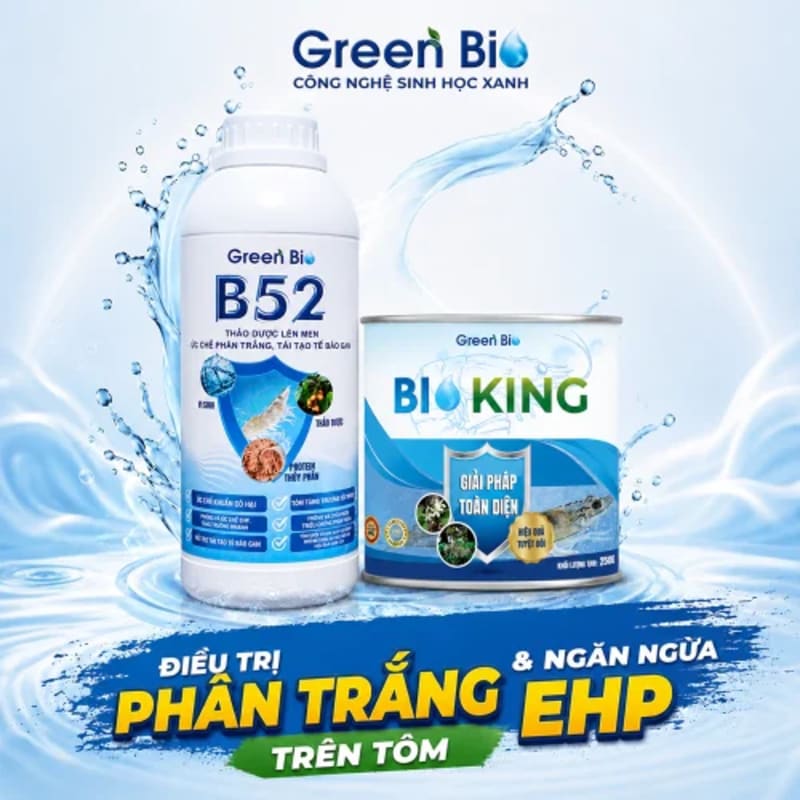 Combo điều trị phân trắng và ngăn ngừa EHP cho tôm