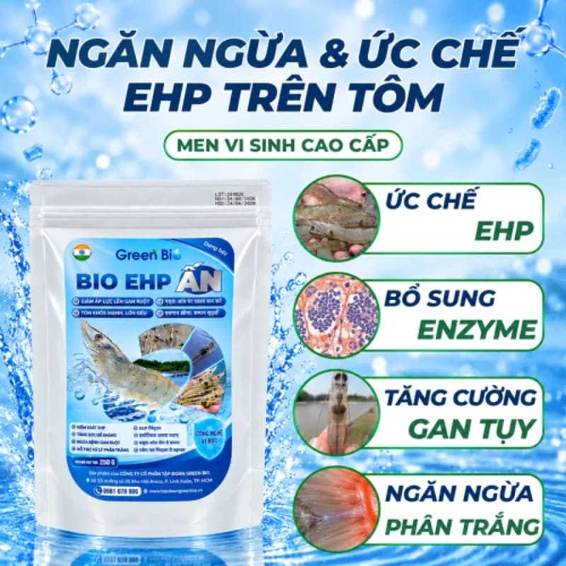 EHP Ấn