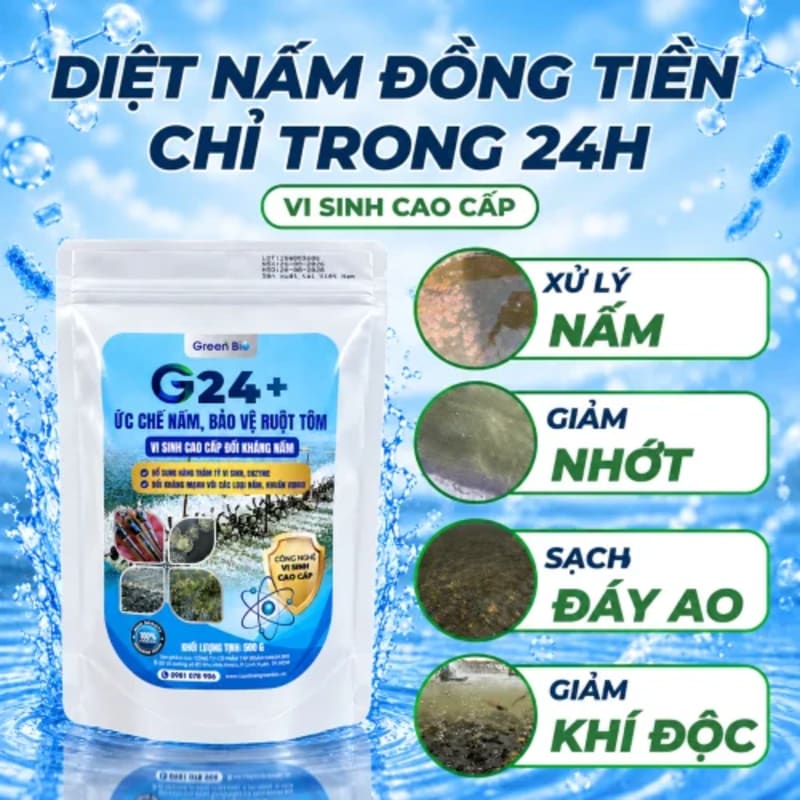 Sản phẩm G24+