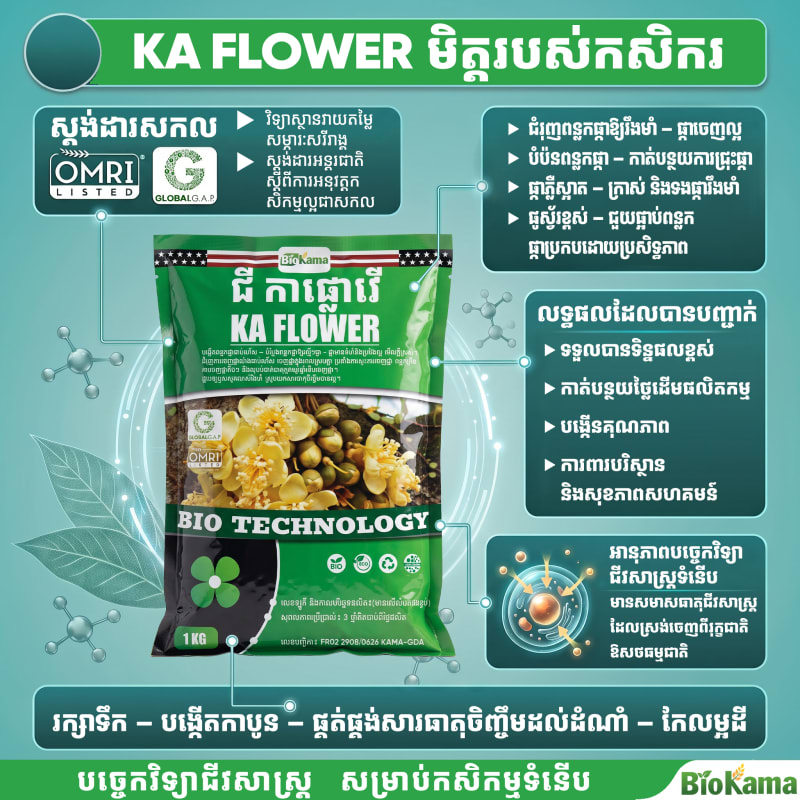B52 điều trị phân trắng