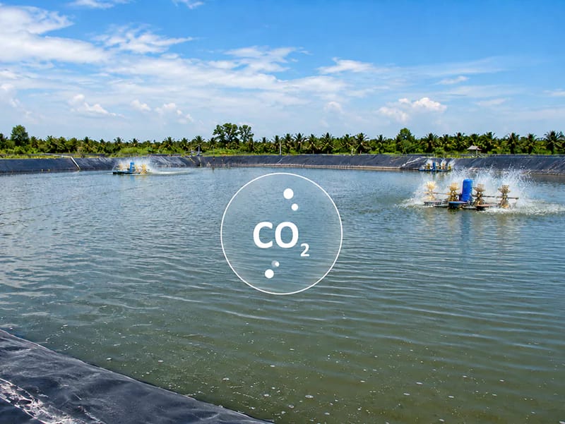 CO2 trong ao nuôi tôm