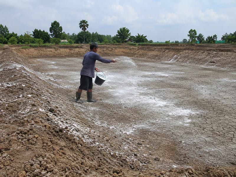 Cách sử dụng vôi trong nuôi trồng thủy sản