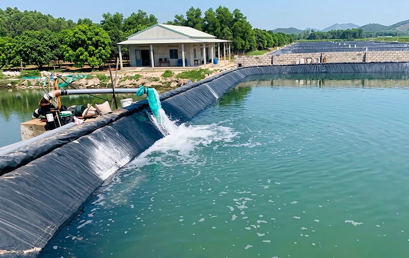 Cấp nước cho ao nuôi tôm