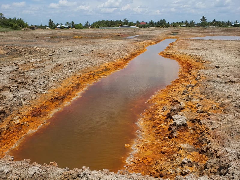 Đất bị nhiễm phèn