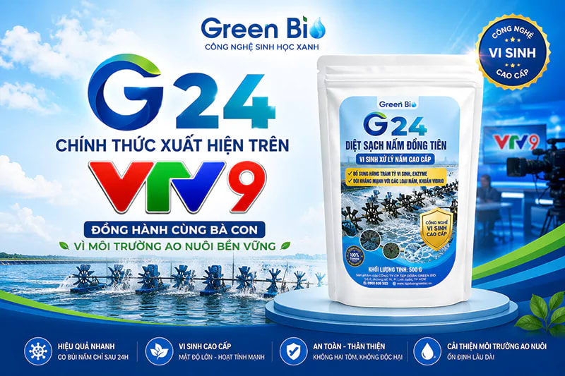 G24 xuất hiện trên truyền hình VTV9 