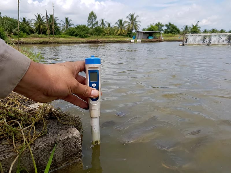 Kiểm tra pH ao nuôi