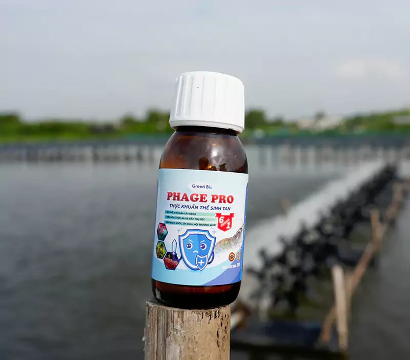 Phage Pro - Kiểm soát Vibrio