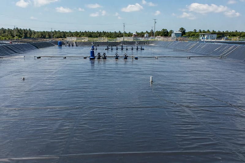 Phơi bạt HDPE ao tôm