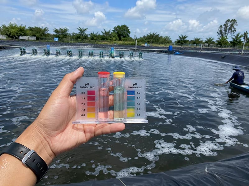 Kiểm tra pH trong ao nuôi