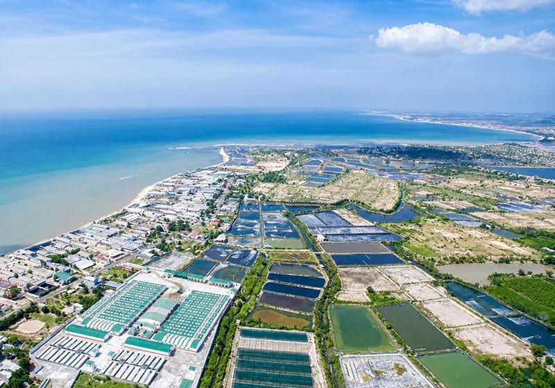 Thủ phủ tôm giống Việt Nam - Ninh Thuận (Lâm Đồng)