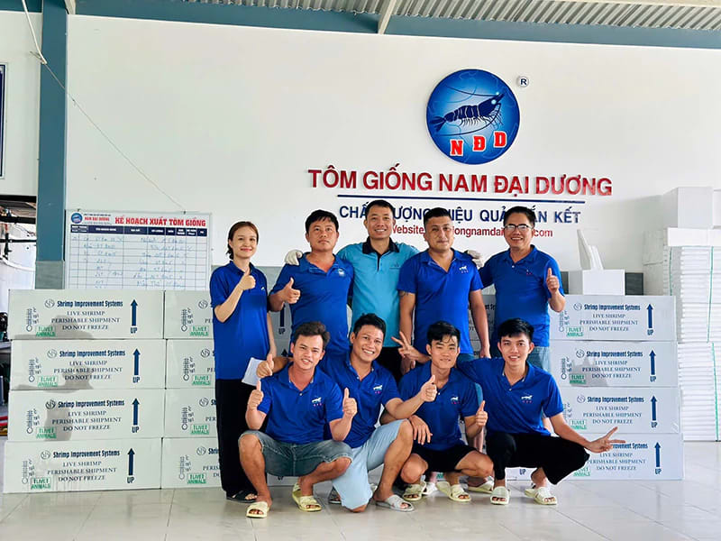 Tôm giống Nam Đại Dương