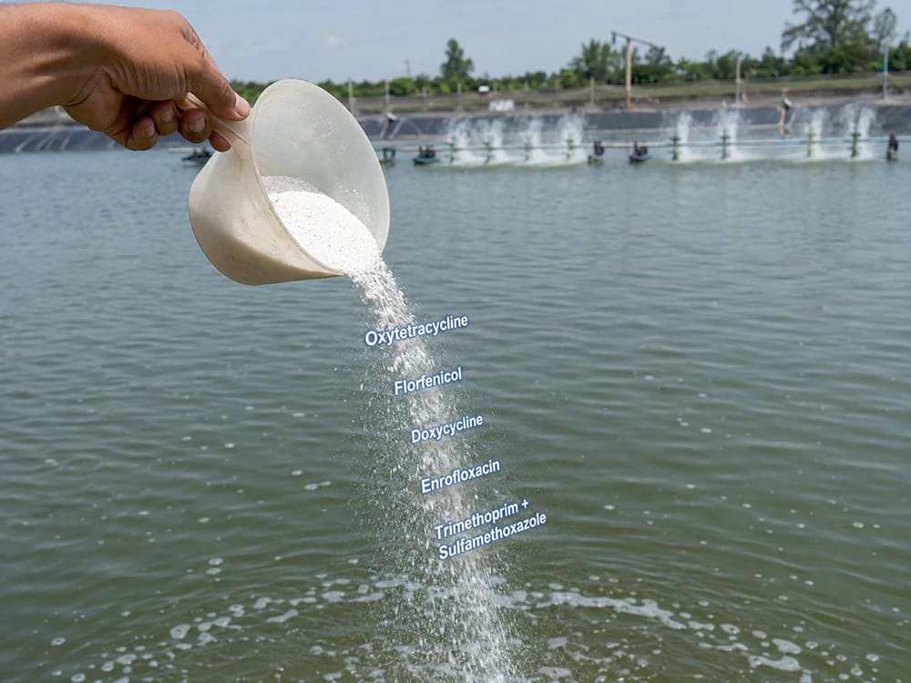 Kháng sinh thủy sản