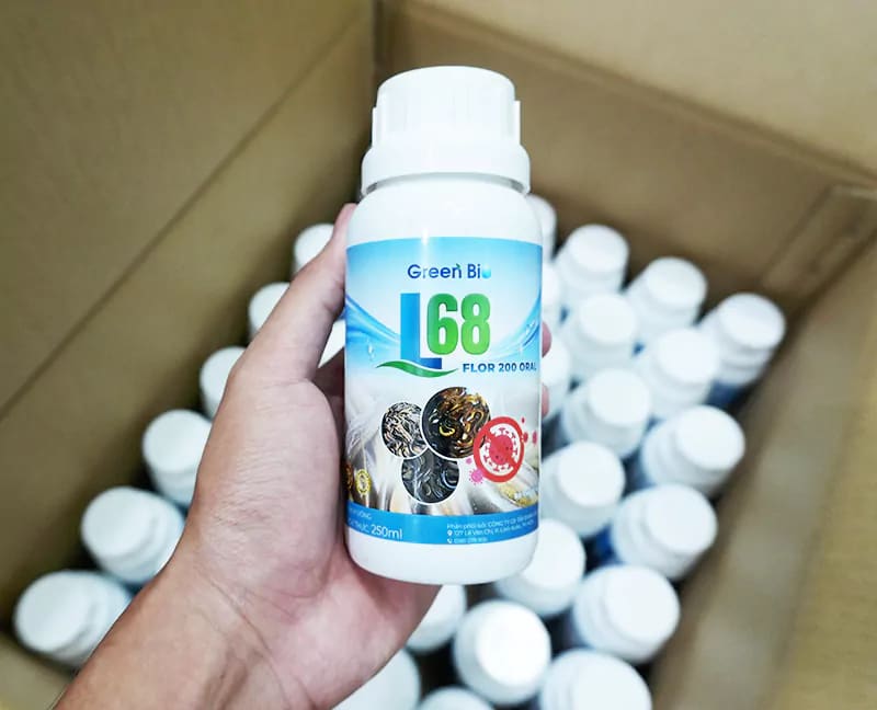 L68 đặc trị bệnh xuất huyết và đốm đỏ trên lươn