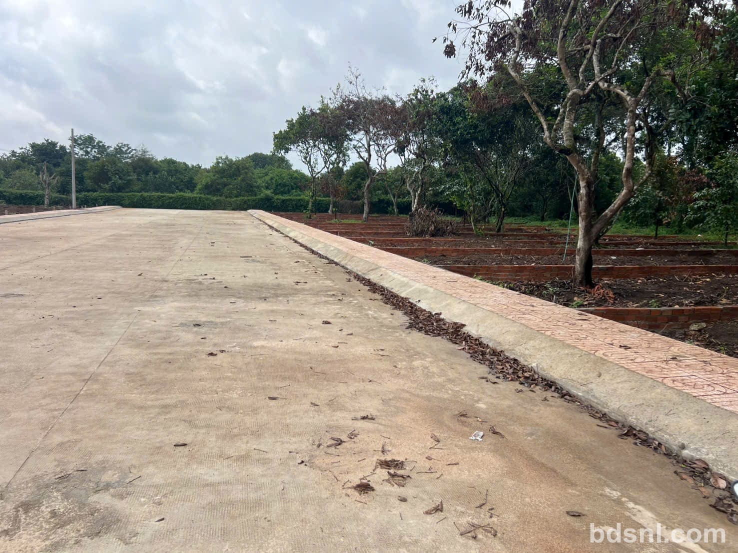 ĐẤT NỀN PHƯỜNG BÌNH LỘC