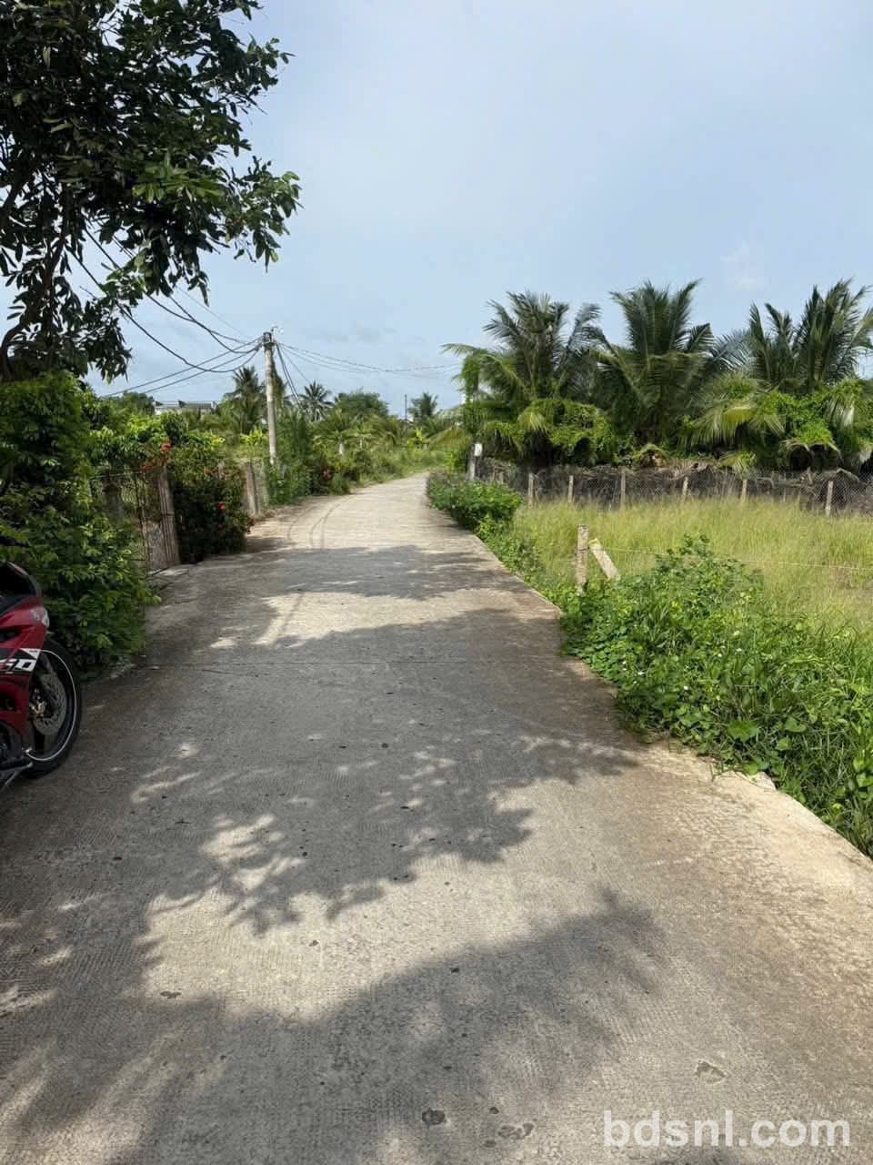 🏡 BÁN ĐẤT 1.180M² – CÓ 142M² THỔ CƯ – ĐƯỜNG XE TẢI – GIÁ CHỈ 1,6 TỶ