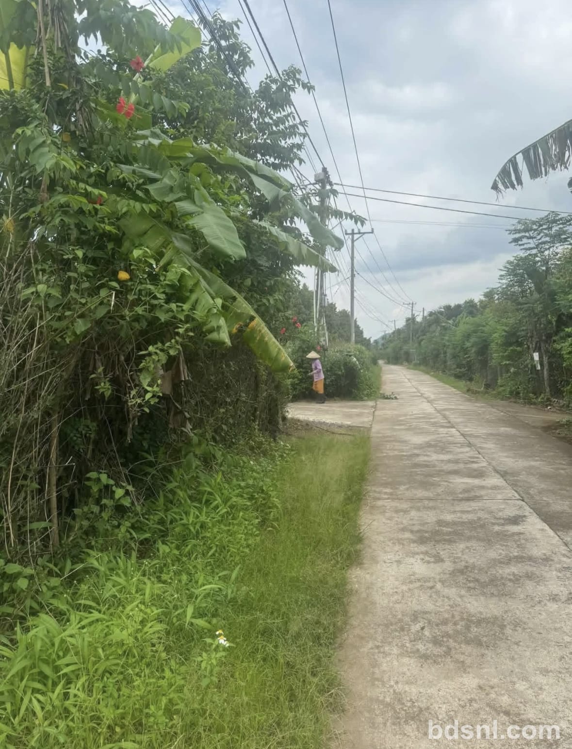 Bán đất Tân Phú - Đồng Nai (Phú Lộc cũ)