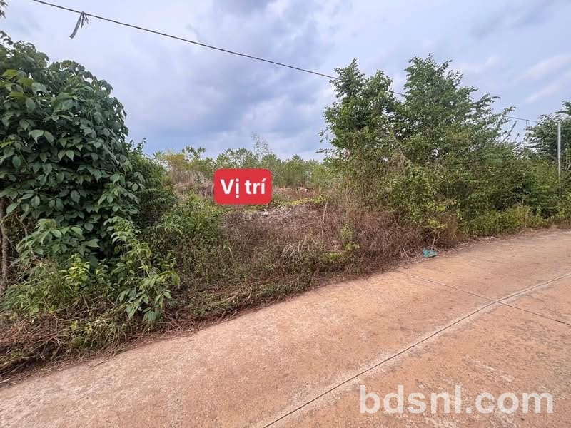 Bán lô đất Phú Vinh, Đồng Nai (Phú Tân cũ)