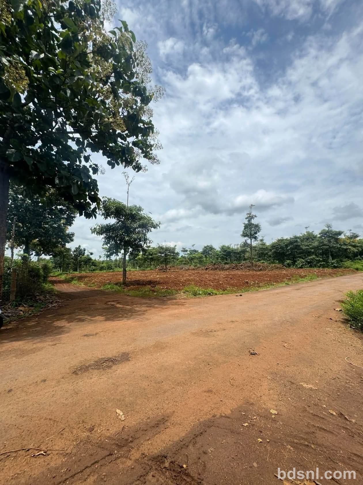 Đất nền 500m2