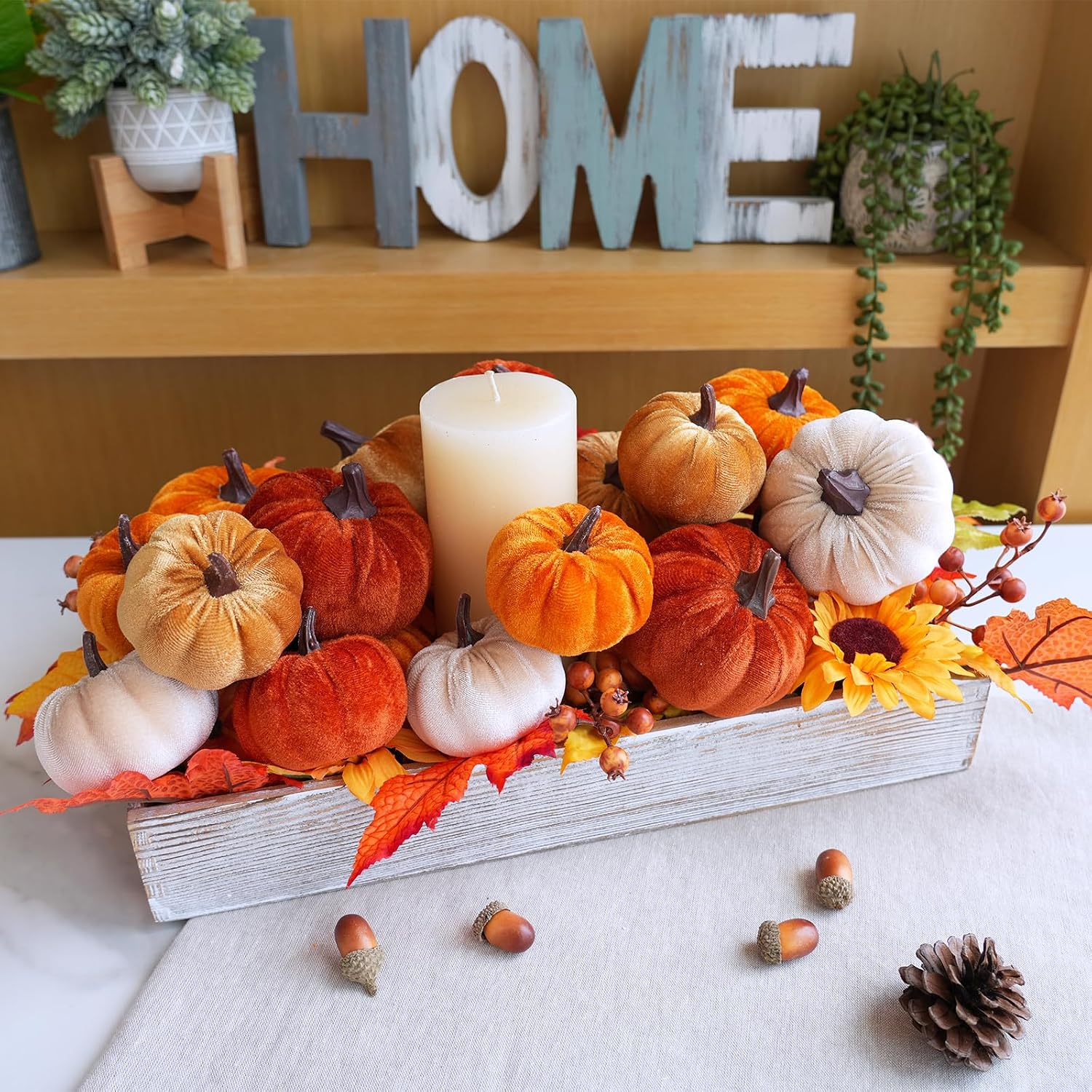 Velvet Pumpkin Accent Collection