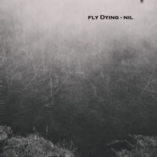 Nil cover