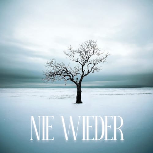 Nie wieder cover
