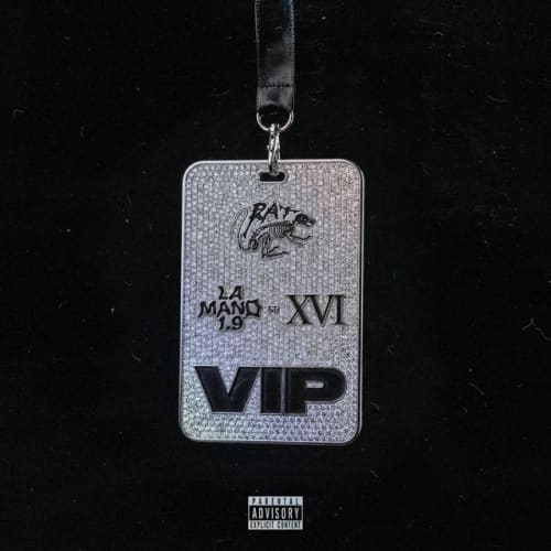 VIP cover