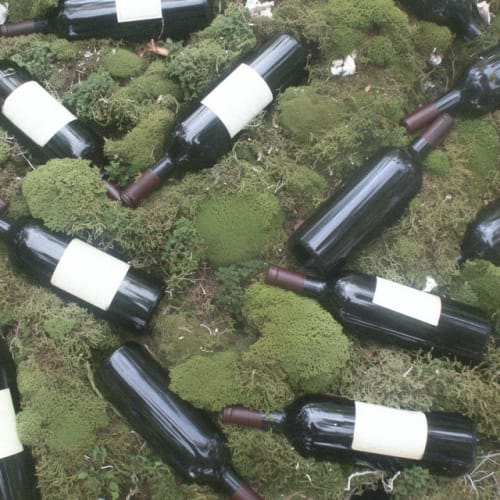 Jag vet, du är inte min cover