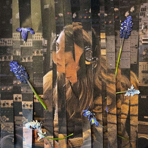 beholder mit tøj på cover