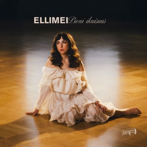 Susta löysin kodin cover