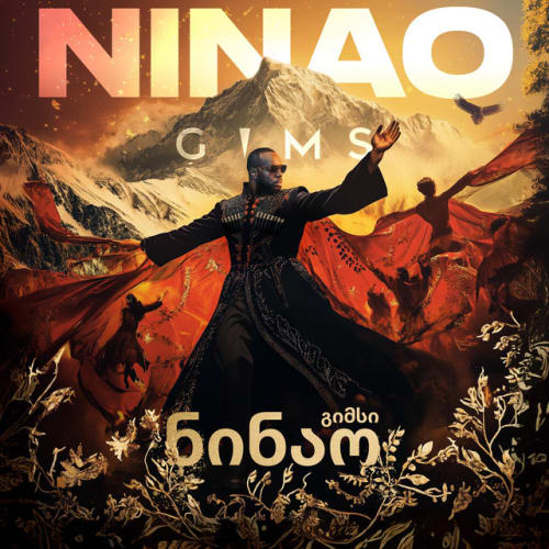 NINAO cover